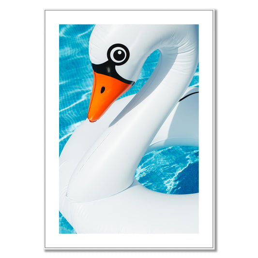 SWAN