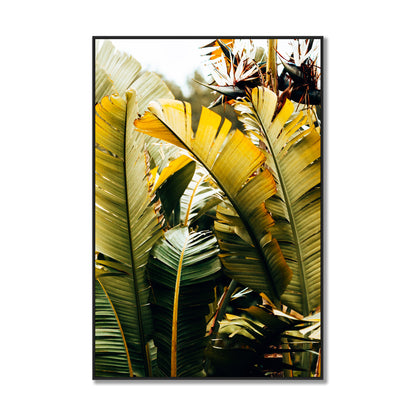 Tropical Leaves